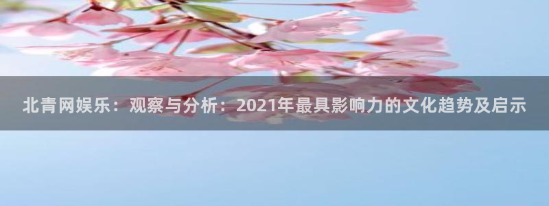 富邦娱乐：北青网娱乐：观察与分析：2021年最具影响力的文化趋势及启示
