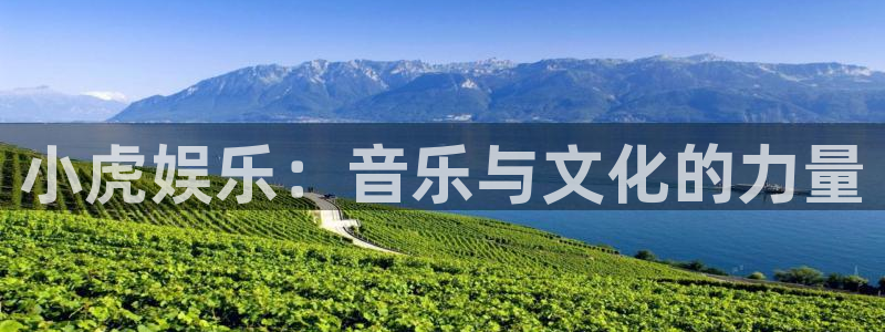 富邦娱乐：小虎娱乐：音乐与文化的力量