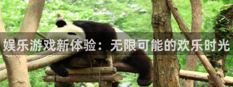 富邦娱乐：娱乐游戏新体验：无限可能的欢乐时光