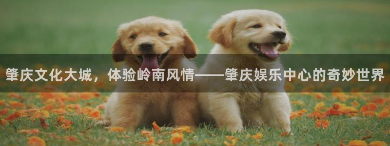 upload/20250701114914.jpg